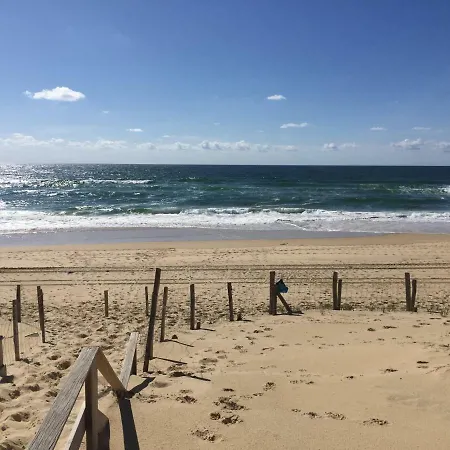 Etoile De Mer 7 Mimizan